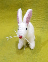 Rabbit