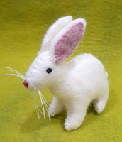 Rabbit