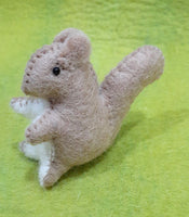 Squirrel