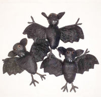 Bat
