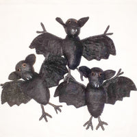 Bat