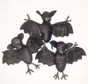 Bat