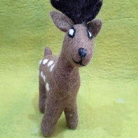 Deer