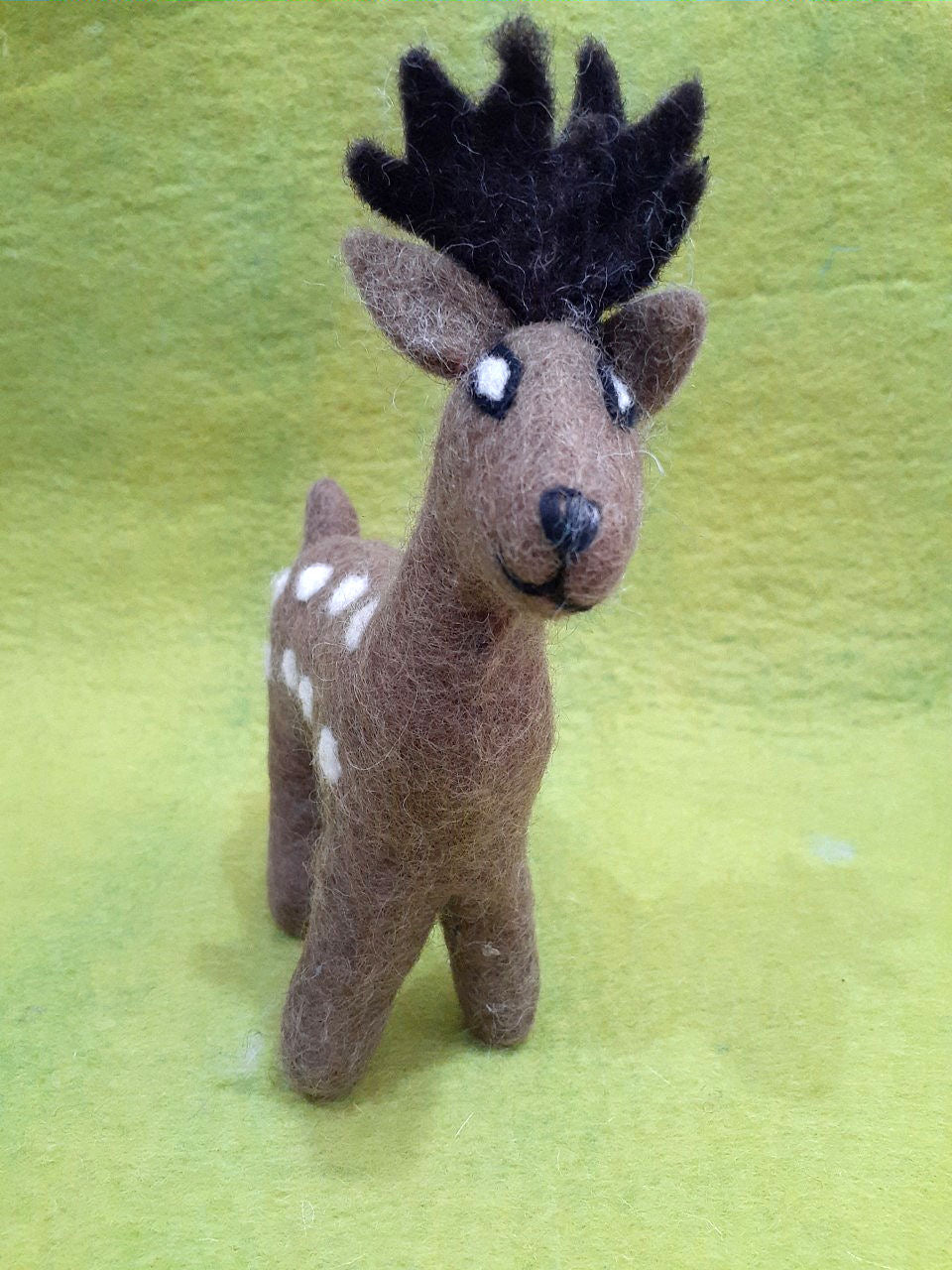 Deer