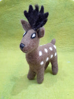Deer
