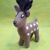 Deer