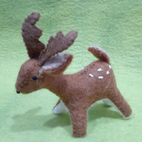 Baby Deer