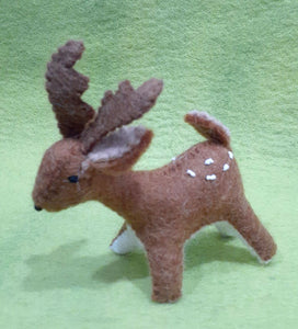 Baby Deer