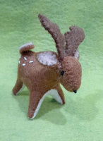 Baby Deer
