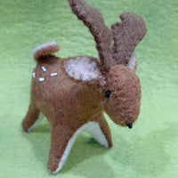 Baby Deer