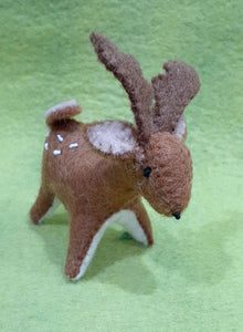 Baby Deer