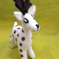 Deer