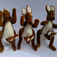 Kangaroo